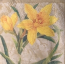 Serviette Osterglocke, Rarität